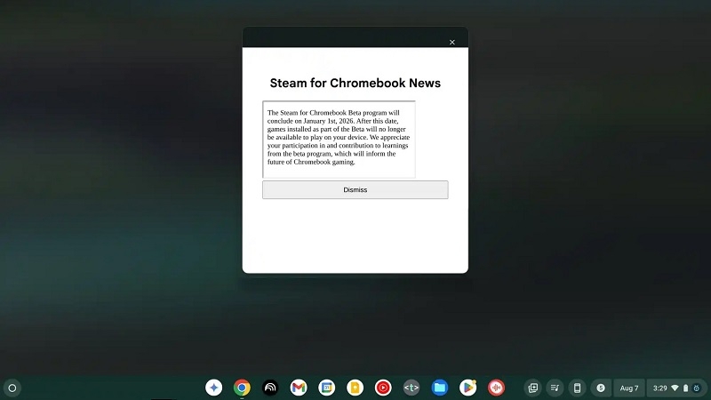 Эксперимент, очевидно, неудачный: Steam для хромбуков так и не выйдет из «беты»