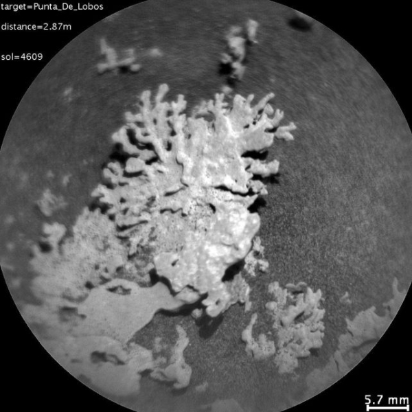 Марсоход NASA Curiosity нашёл на Марсе «коралл» возрастом в несколько миллиардов лет
